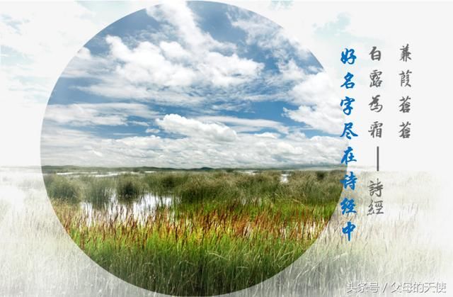 那些出自《诗经》的好名字附解析,韵味无穷,让