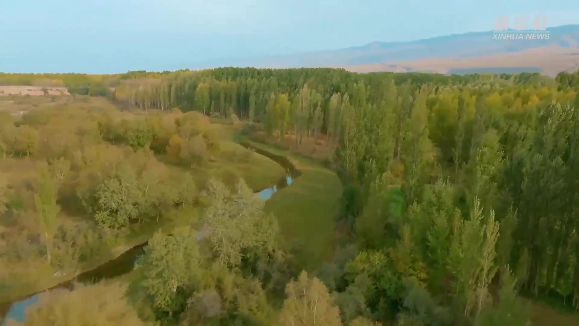 新疆特克斯:湿地公园秋景如画 新疆特克斯:湿地公园秋景如画