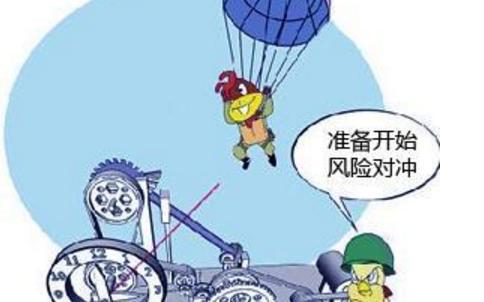 风险对冲理论 经典的风险对冲