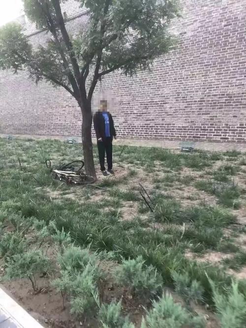 今晨张家口某区城墙下,一位老年人上吊自杀!