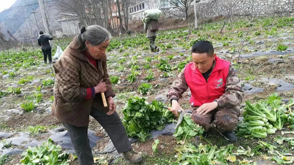 志愿者安文忠:青石缝里抓脱贫 林下地里创新路 志愿者安文忠:青石缝里抓脱贫 林下地里创新路
