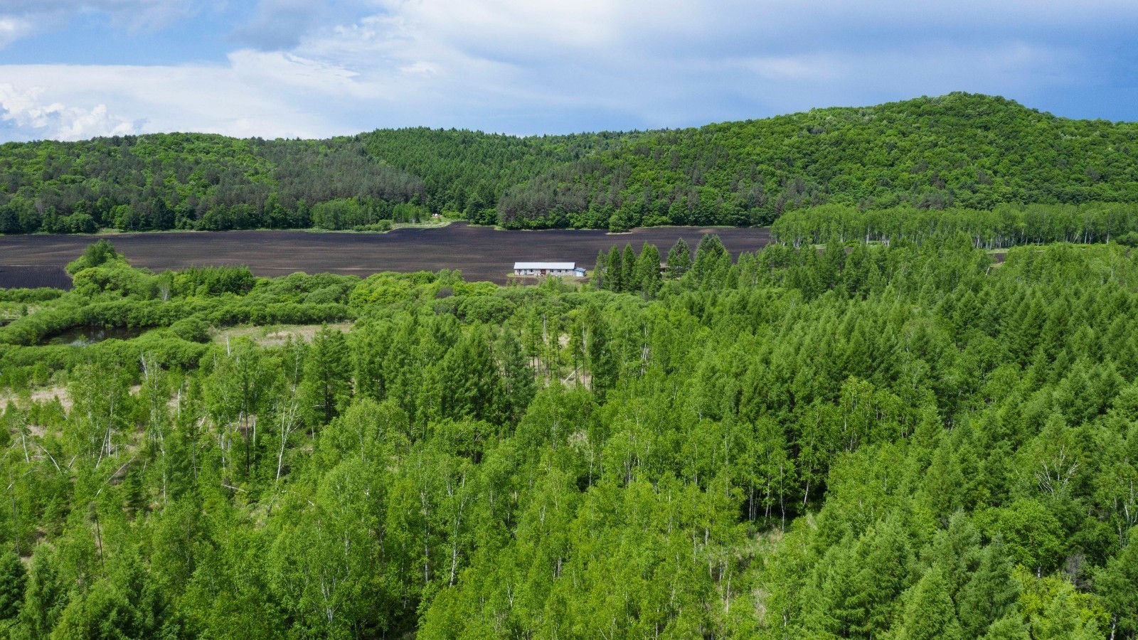 一双手 百万树 每年春夏漫山遍野绿意盎然 一双手 百万树 每年春夏漫山遍野绿意盎然