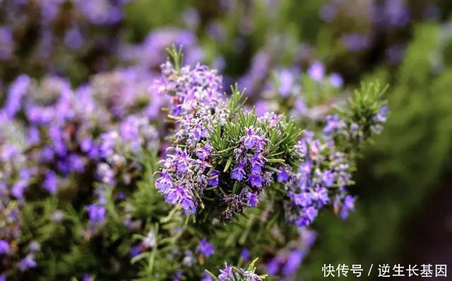 别人不知道的避暑胜地!重庆适合亲子游的6个地