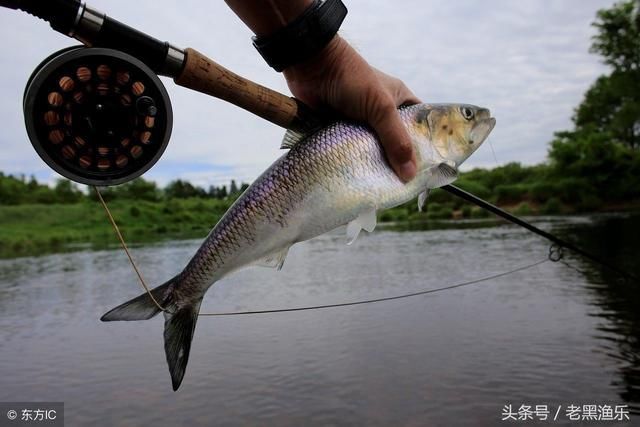 钓浮与浮钓,一个意思吗?