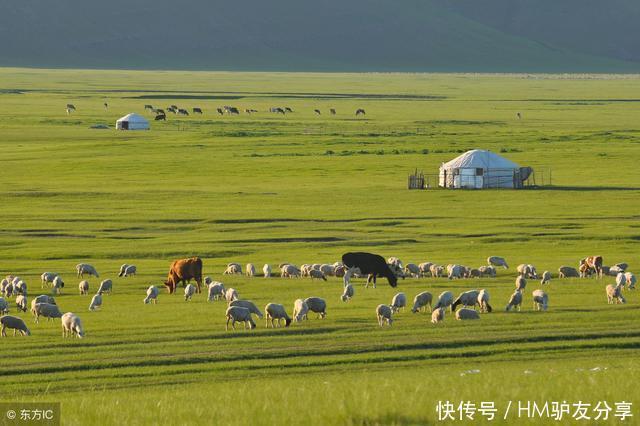 世界上著名的大草原 t0191f916114e6256f1.jpg?size=640x426