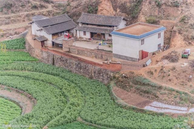 发展农业合作社,携手建设新农村