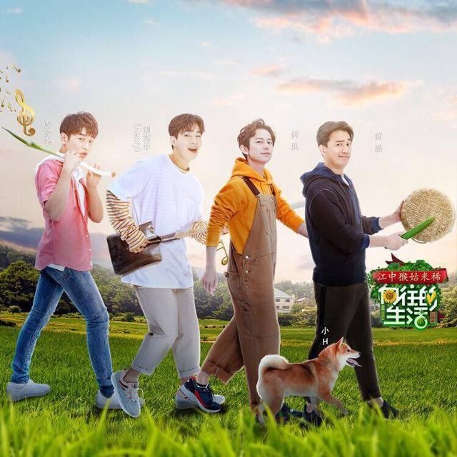 《向往的生活》片酬排名,刘宪华彭昱畅友情价