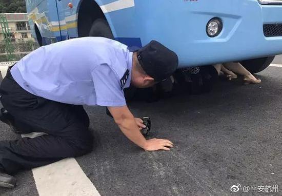 女子因夫妻不和钻公交车底 警察高温天跪地劝解 女子因夫妻不和钻公交车底 警察高温天跪地劝解