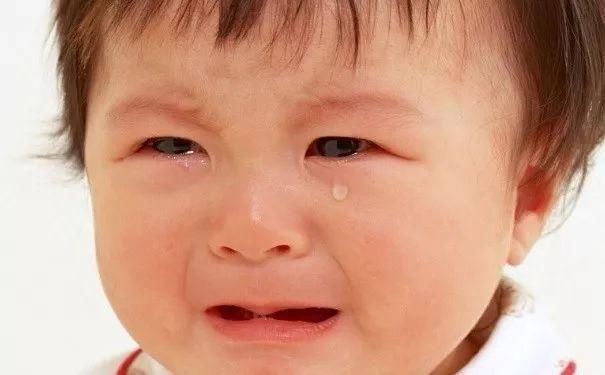 190州政府担保55分移民澳洲 选塔州还是堪培