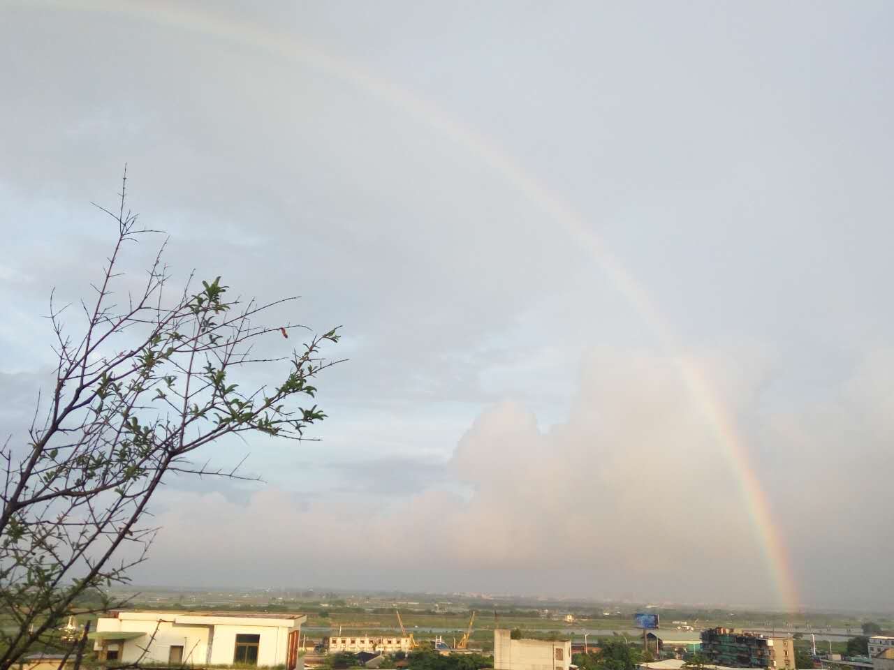 8-10日广东局地仍有雷雨