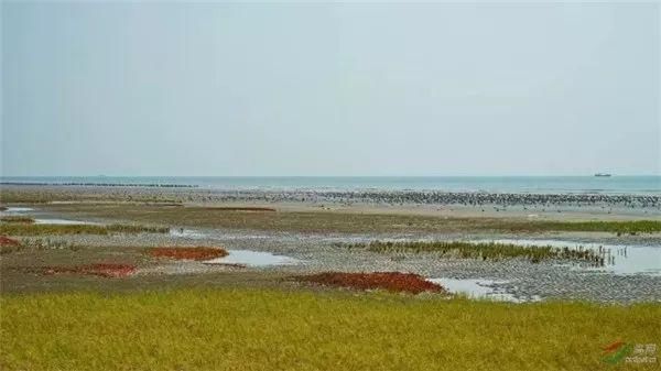 关注社会舆论,积极作为,保护海洋生态环境