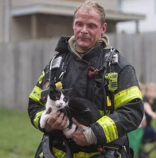 消防员救下猫,把它交给主子的那一瞬间,被猫的行为打动哭