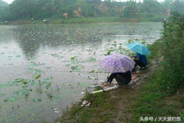 夏季雨天如何钓鱼?钓鱼老司机教你两招