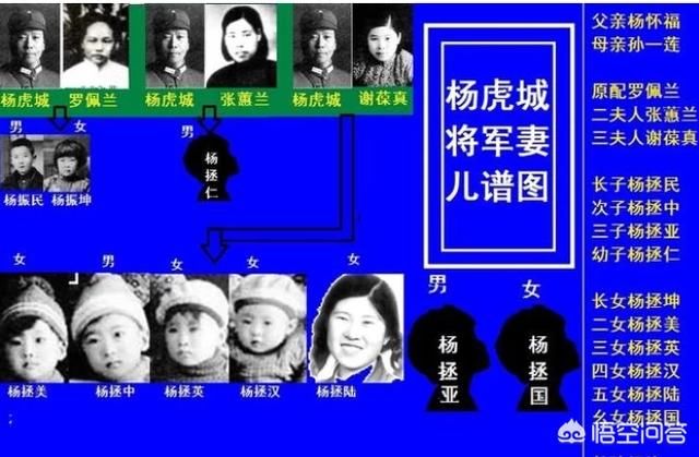 杨虎城将军有多少后代?