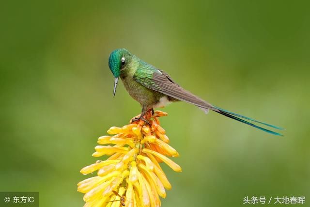 36条混社会的经验和忠告,句子虽短,受用一生