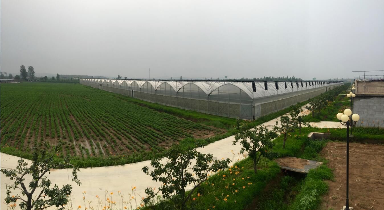 辽宁财贸学院校园景色