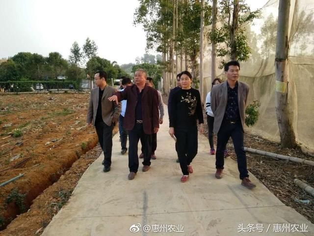 到我市开展基层农技推广体系改革与建设补助项