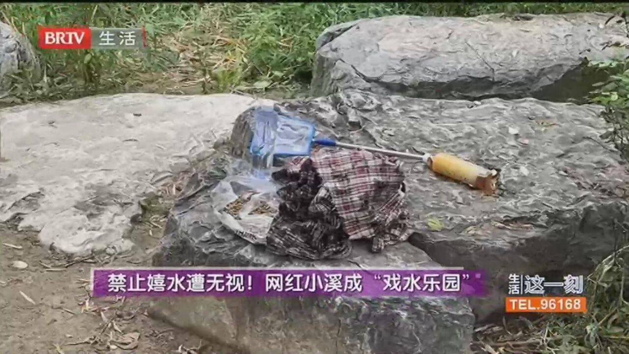 禁止嬉水遭无视！网红小溪成“戏水乐园” 园方提醒：不宜下水游玩