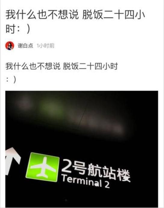 近日谢娜复出回归快本一身黑色武装现身机场这