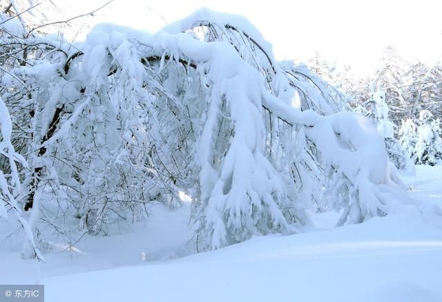 城市:从黑A到黑P黑龙江13个城市,你最喜欢哪一