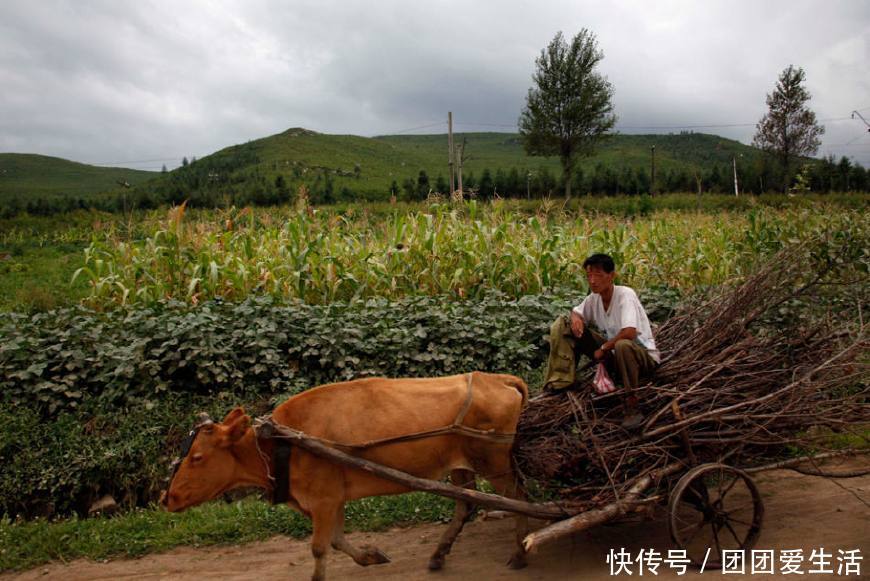 揭秘:朝鲜人眼中的中国是怎样的?听到他们的提