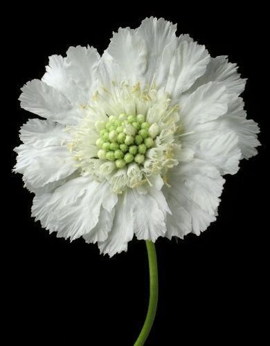 达州男孩高考后自杀,女儿高考后妈妈醉酒欲轻