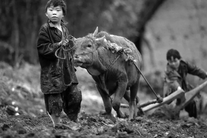 大眼睛女孩背后的男人:一部相机,26年,改变553