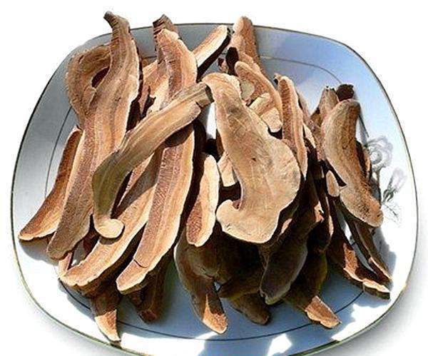 男人七分靠养三分靠补, 三伏天吃下面几种食物