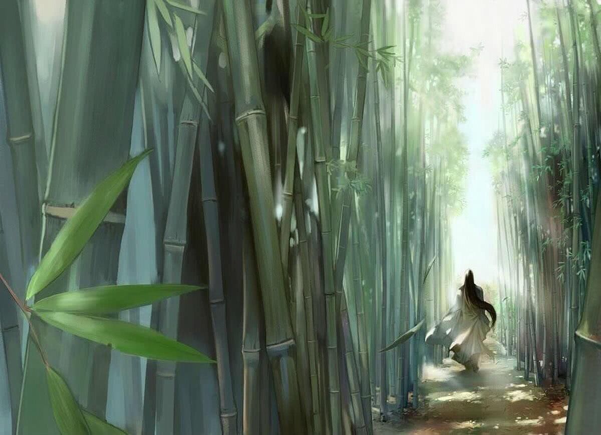 【古风背影壁纸】从来没有想过这个背影我会用