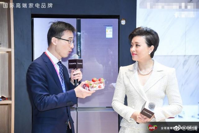 50岁杨澜和高圆圆完胜杨幂林志玲林心如,名媛