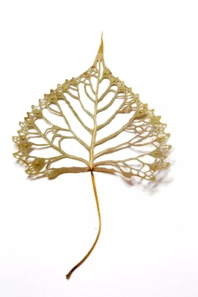 根据树叶造型设计的特别雕刻