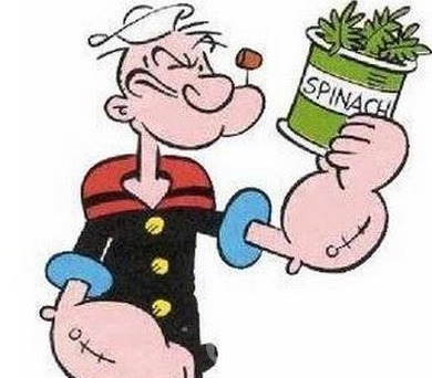 那些年课本上的16个谎言 没有一个人不中招的!