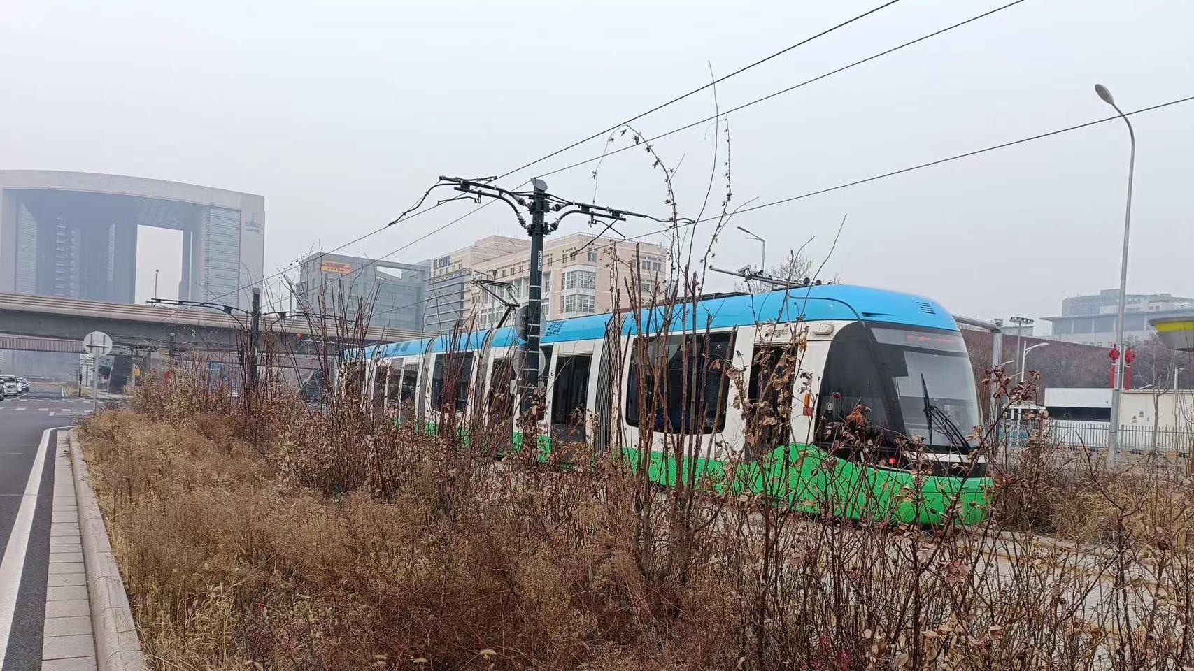 亦庄T1线沿途绿化带全是杂草,煞风景还不安全! 亦庄T1线沿途绿化带全是杂草,煞风景还不安全!