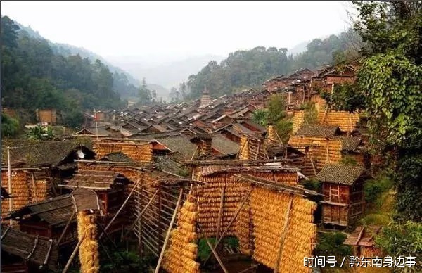 从江占里控制胎儿性别的换花草之谜