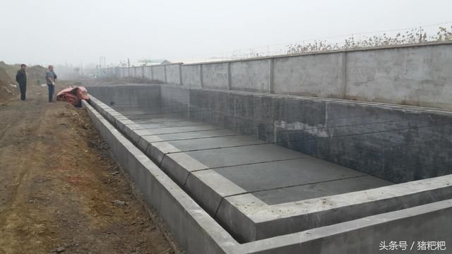 2018年在农村还能养猪么?还会不会被拆?哪些