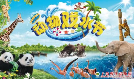 给河马刷牙?浣熊浑水摸鱼?动物度夏还有这操