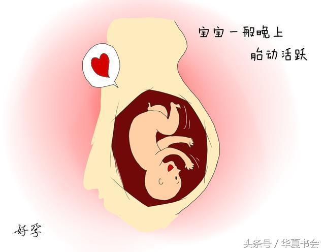 怀孕期间怀男孩女孩胎动有什么不同?老人说胎