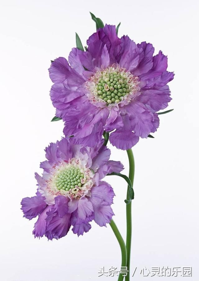 看清社会,认清人性的经典语录