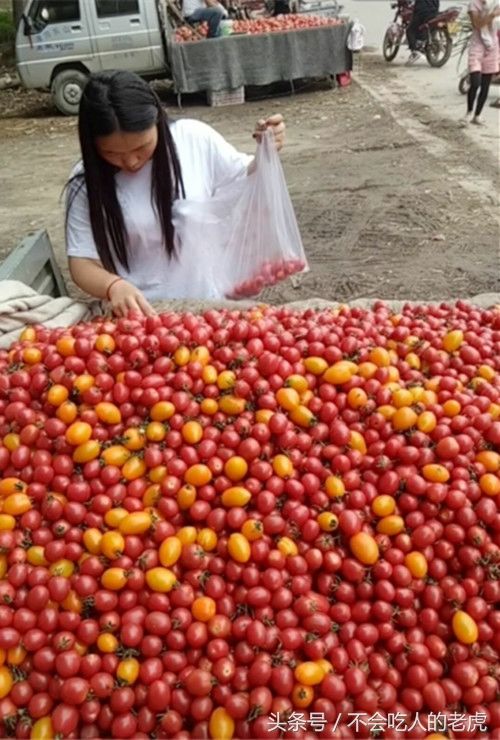 小贩大街边卖圣女果,一家四口边尝边挑,最后只