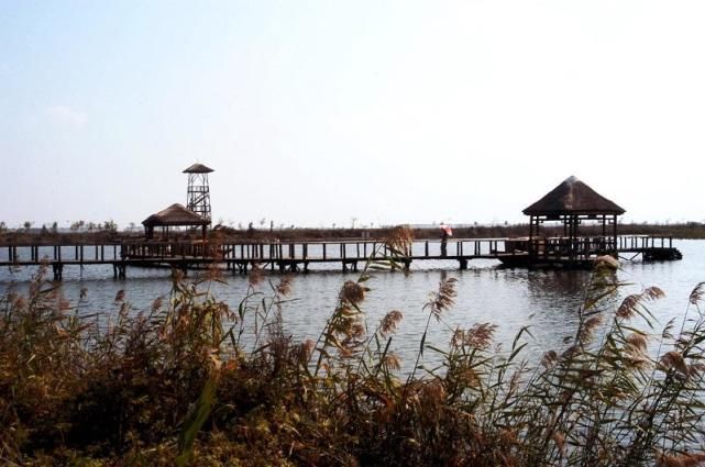 江苏盐城,2017年盐城市经济运行简报,盐城各县