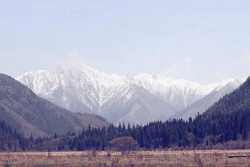 生第三次世界大战么?第三次世界大战参战国会