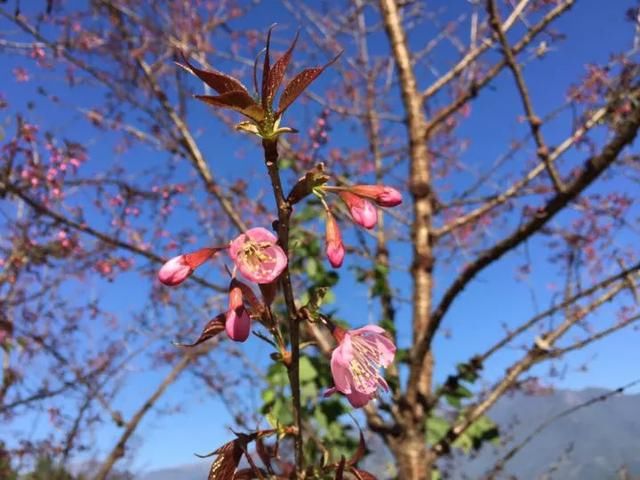 腾冲至樱花谷景区公路路面铺设全线完成