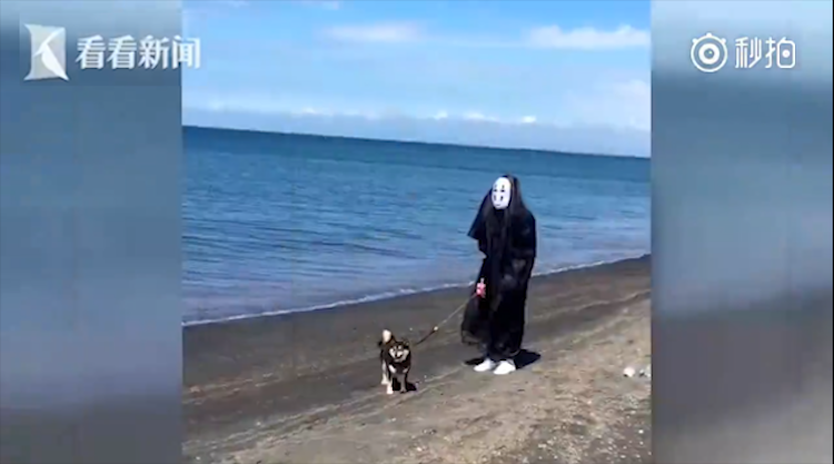 男子打扮成“无脸男”海边遛黑柴 不慎被自己衣服绊倒