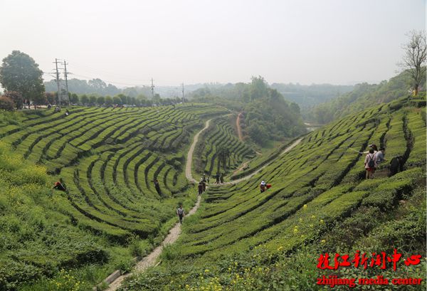 枝江·顾家店第三届青龙山艺术节开幕
