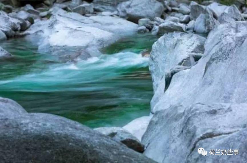 这幅画中有一百多句荷兰谚语,你能看出来几个? 这幅画中有一百多句荷兰谚语,你能看出来几个?