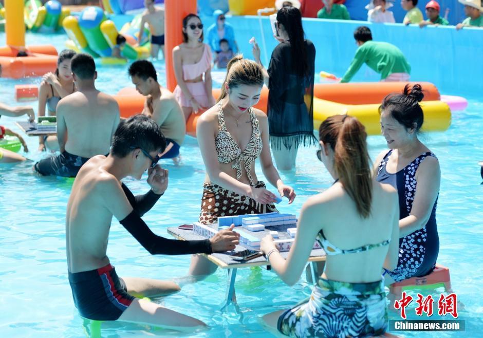 众多美女身着比基尼清凉参加麻将大赛。