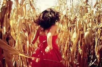 有些情,唯有曲终人散,才懂得什么是随缘