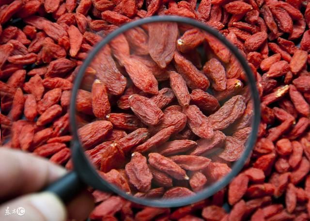 黄芪能和枸杞一起泡水喝吗?