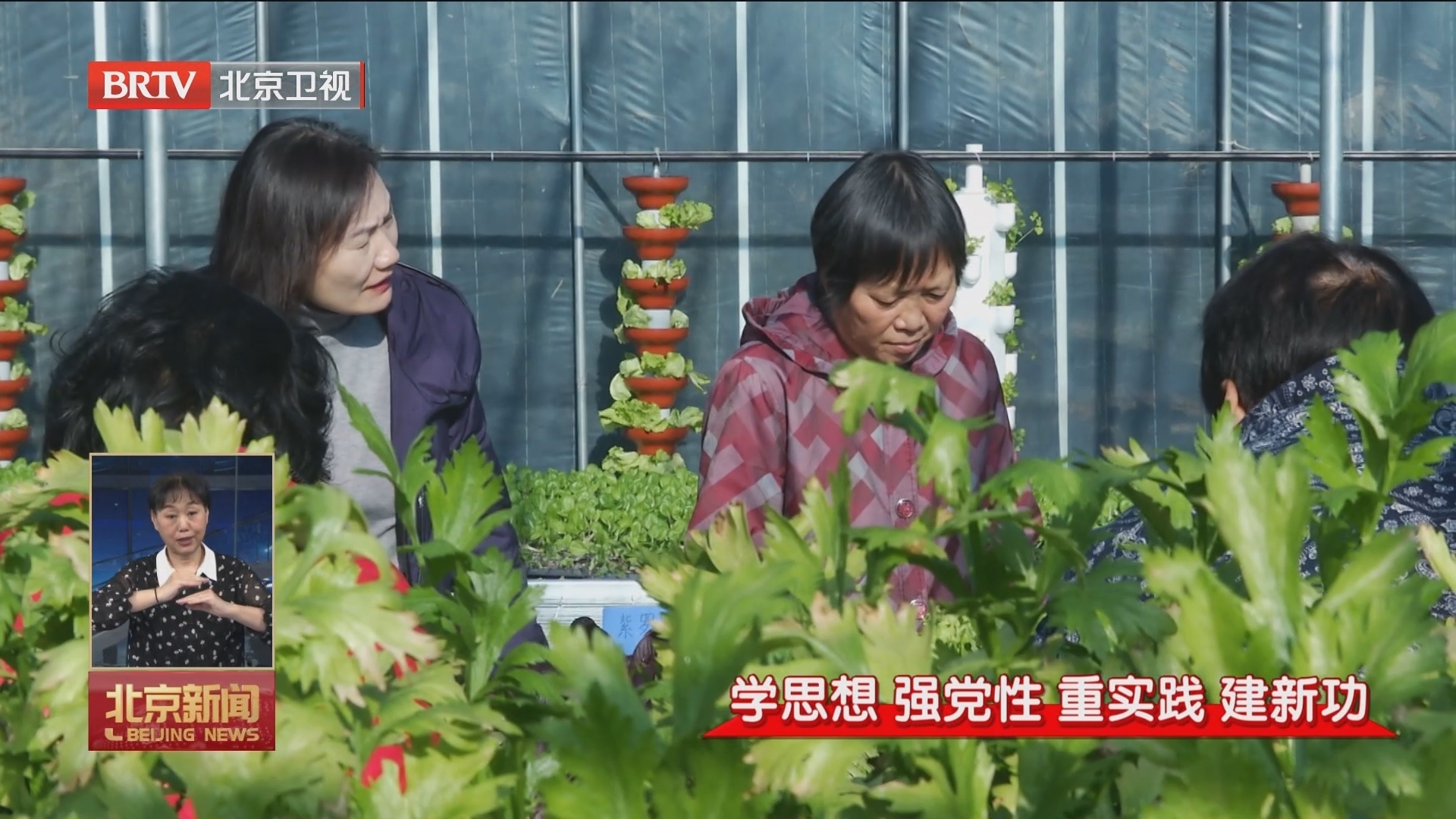 平谷区：坚持人民至上 网格赋能 用实干担当推动主题教育走深走实