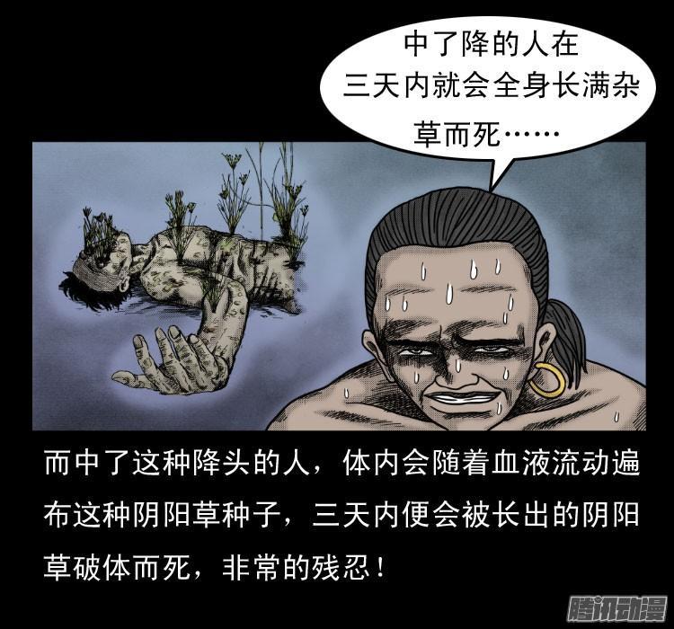 民間故事《陰陽屍血降》南陽邪術師的最終奧義,邪術!屍血降術